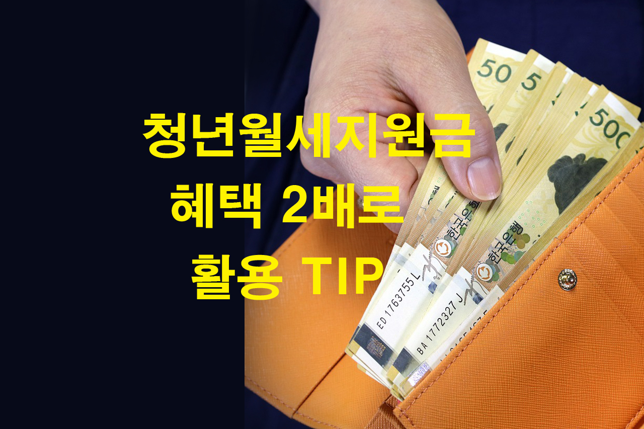 청년월세지원금 혜택 2배 활용팁