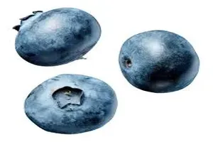 블루베리