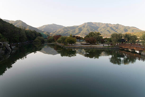 미세먼지 없는 충북 의림지1