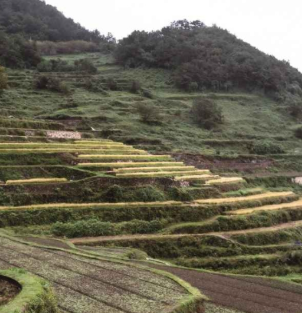 남해 가볼만한곳 베스트10