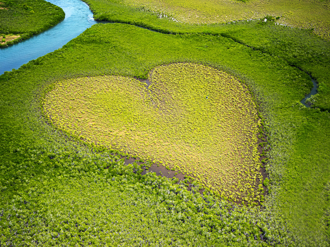 금육재 지구사랑 플라스틱 줄이기 지연보호