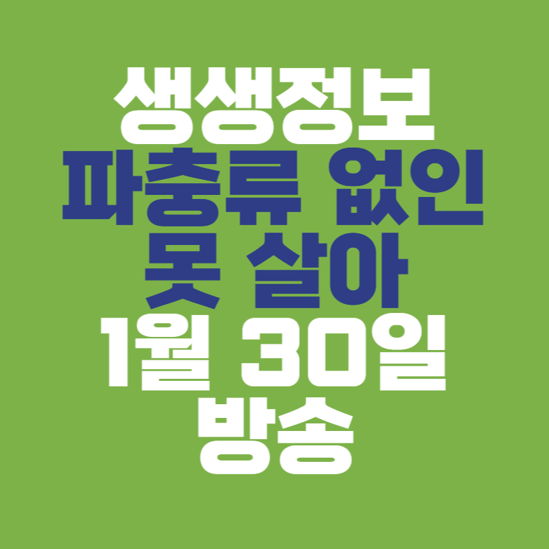생생정보 파충류 없인 못 살아
