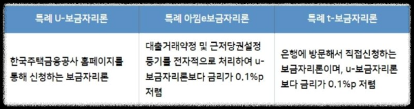 특례보금자리론