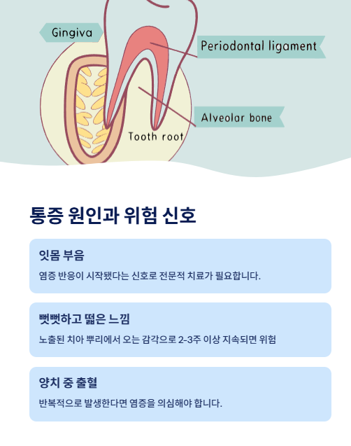 통증 원인과 위험 신호