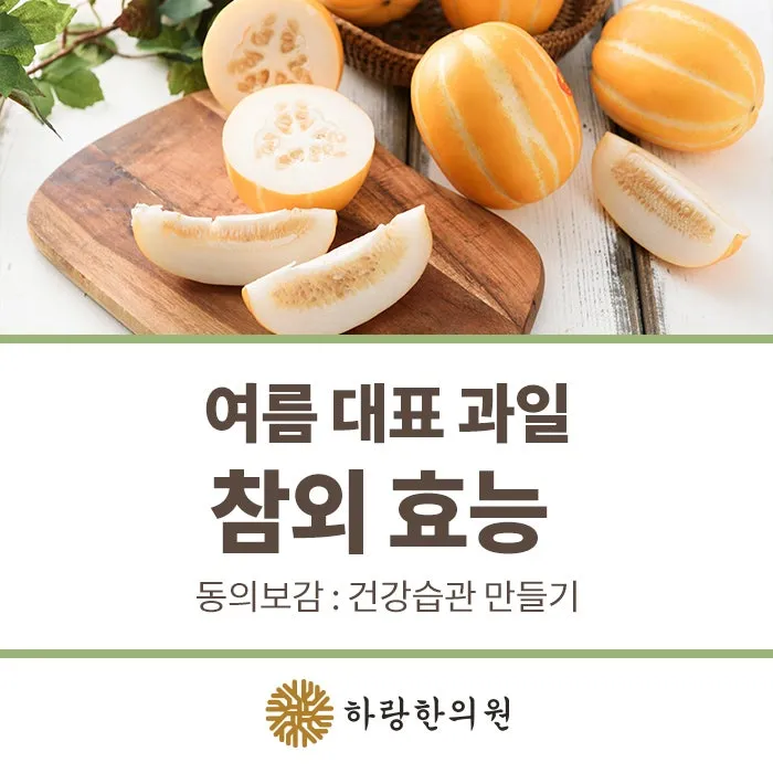참외 효능 및 영양 정보 섭취 효과 정리_4