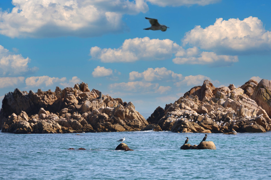 경주 가볼만한 곳 베스트 10 (2025 최신판)