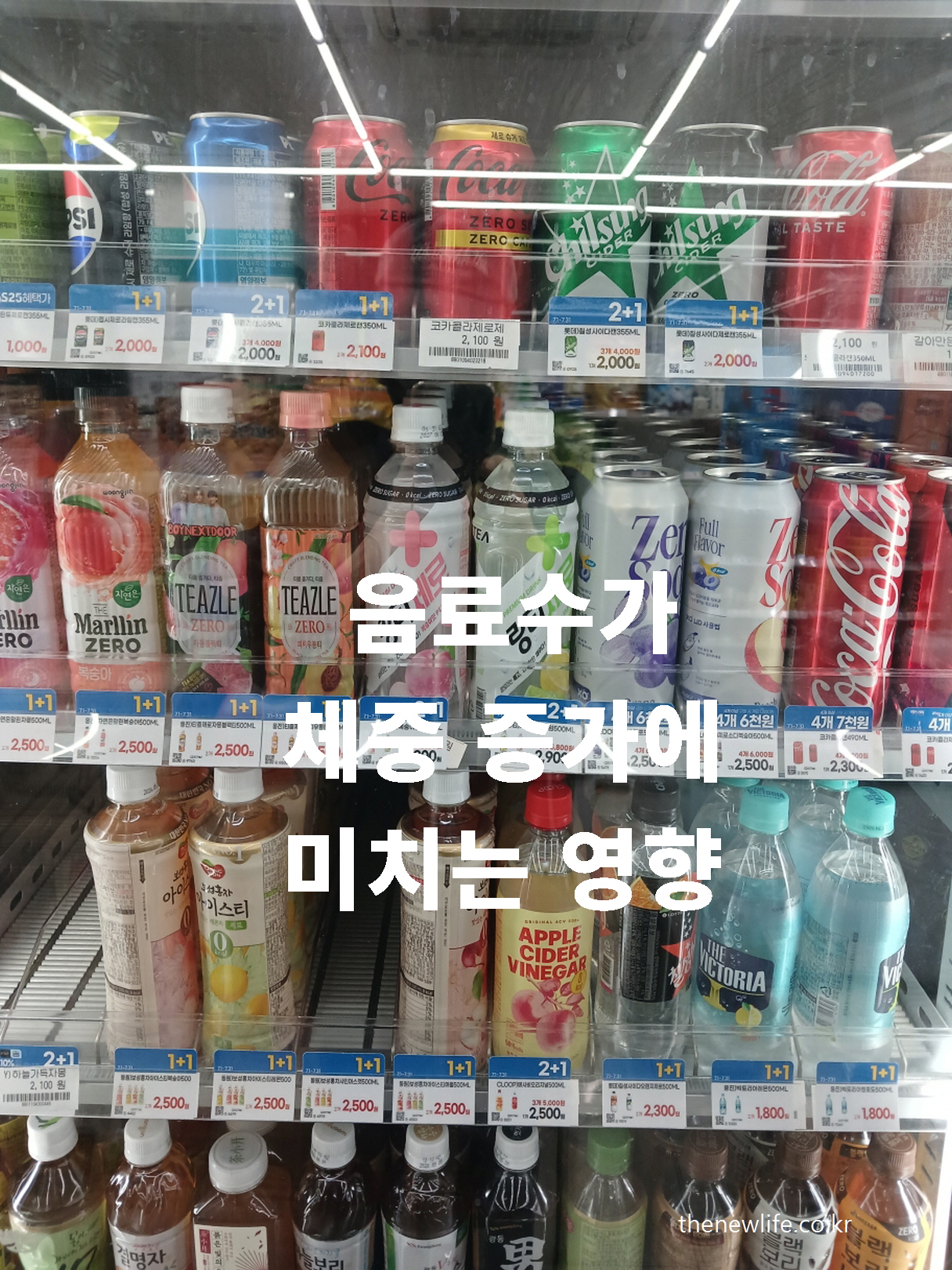 A refrigerated drink shelf in a convenience store with various beverages. The Korean text overlay reads, &quot;음료수가 체중 증가에 미치는 영향&quot; meaning &quot;How beverages affect weight gain&quot;.-편의점 음료 냉장 진열대. 화면 중앙에 '음료수가 체중 증가에 미치는 영향'이라는 문구가 삽입된 이미지.
