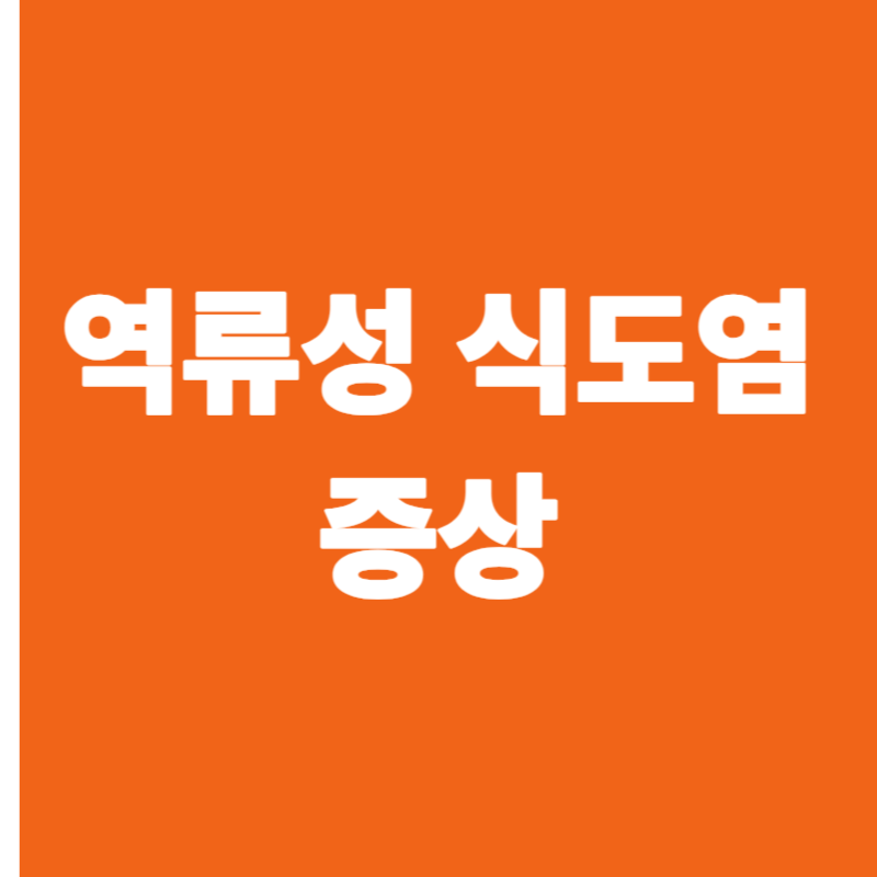 역류성 식도염 증상