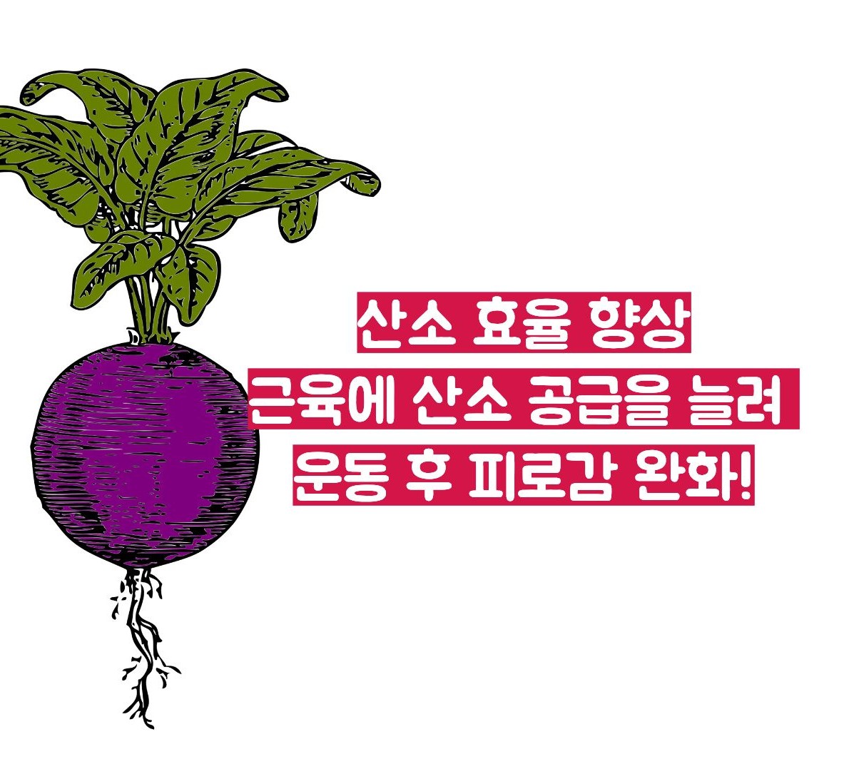 비트 효능
