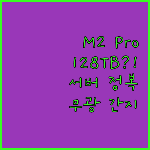 맥미니 M2 Pro 128TB 대용량..