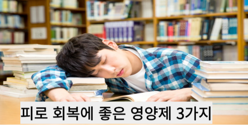 피로회복 영양제