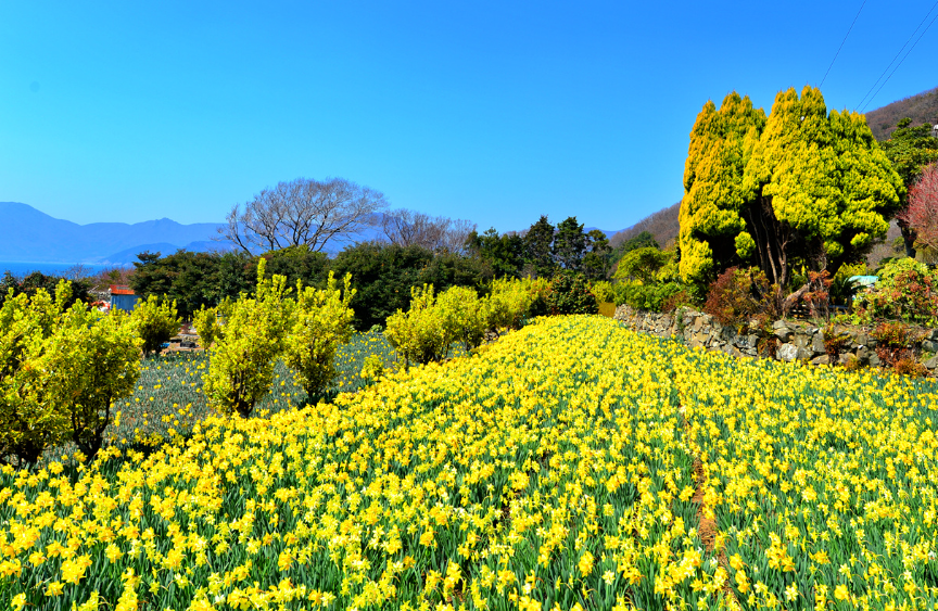 스탬프-투어-경상남도-거제시-공곶이-내도