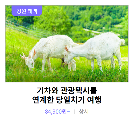 기차여행 1박2일 여행지 추천