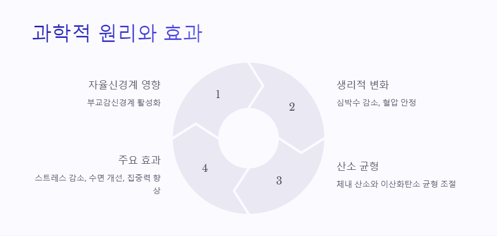 수면호흡법