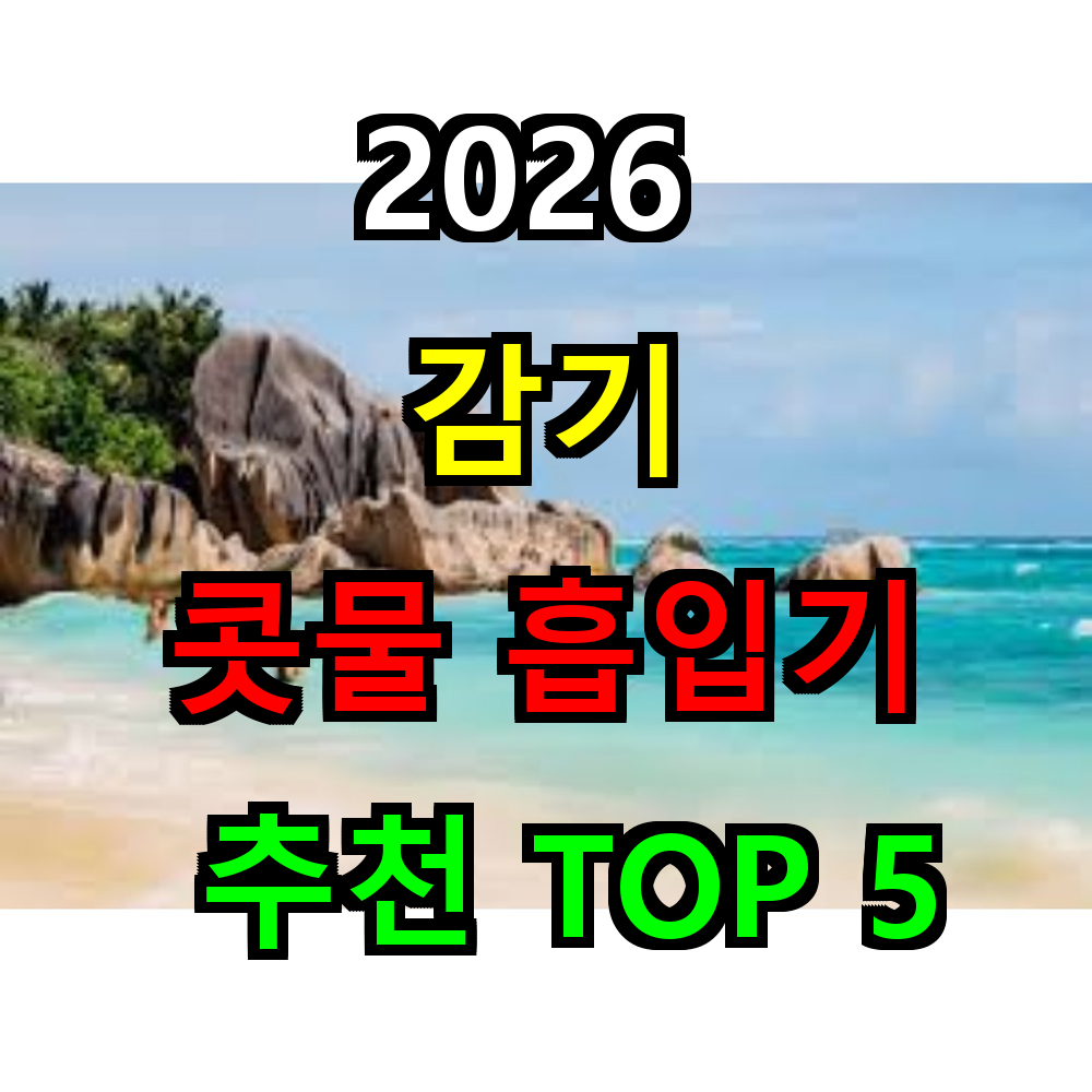 아기 콧물흡입기 추천 BEST 5