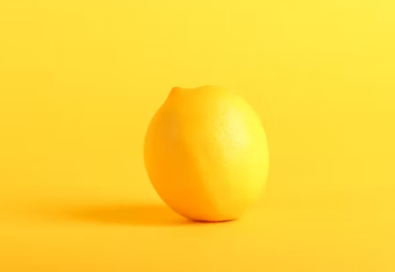 홀베리 유기농 레몬즙 가격 먹는법 후기