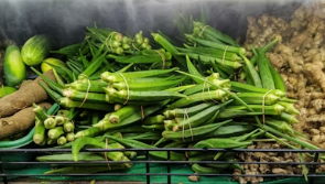 체질별 방풍나물 섭취 가이드: 태음인에게는 보약&amp;#44; 소양인에게는 주의