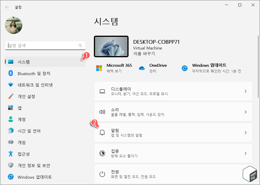 Windows 11 설정 앱