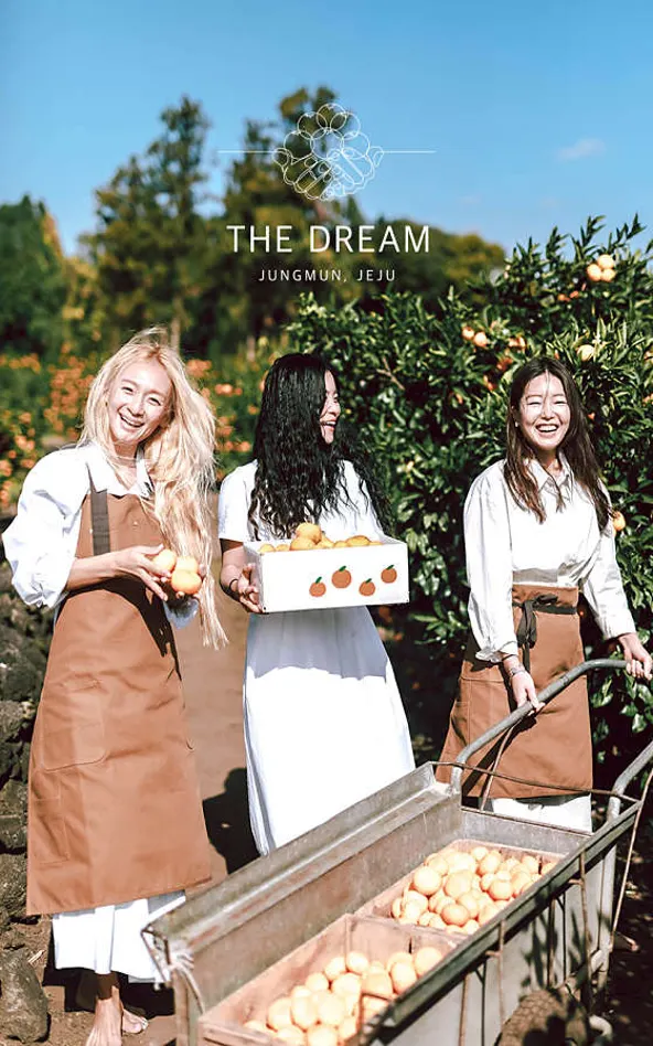 중문더드림감귤