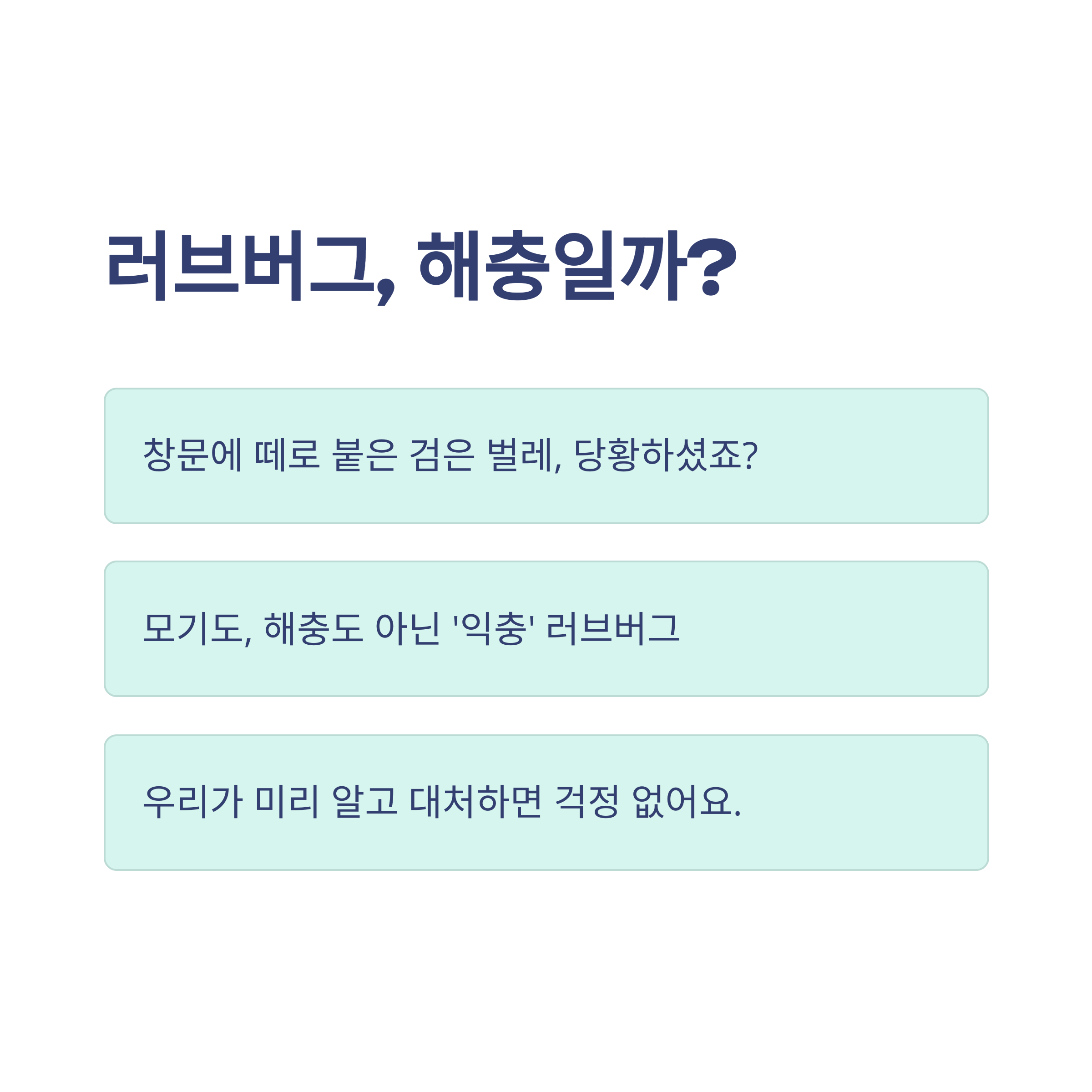 러브버그 시기부터 퇴치법까지: 출몰시기·모기 차이·은평구 정보까지 한눈에