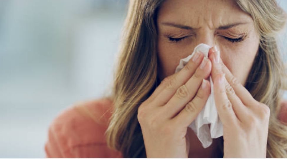 콧물과 관련된 사진