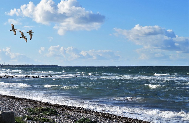 현대 작곡가들의 실험 음악 - 존 케이지와 메시앙