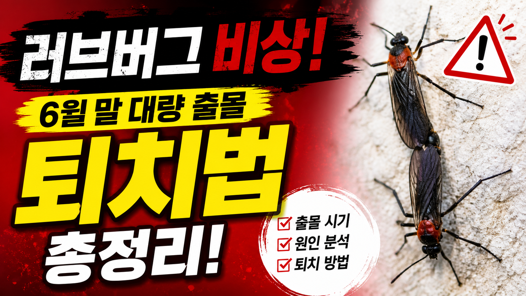 러브버그 대량 출몰 시작, 출몰 시기부터 퇴치법까지 총정리 / AI생성