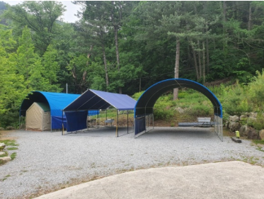 영월사랑나무캠핑장