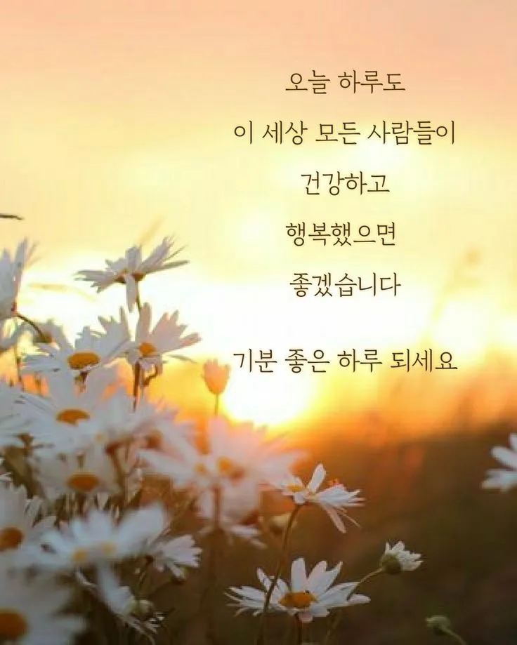 아침 인사 문자 날씨 변화에 맞춘 안부 문장 하루를 여는 표현_7