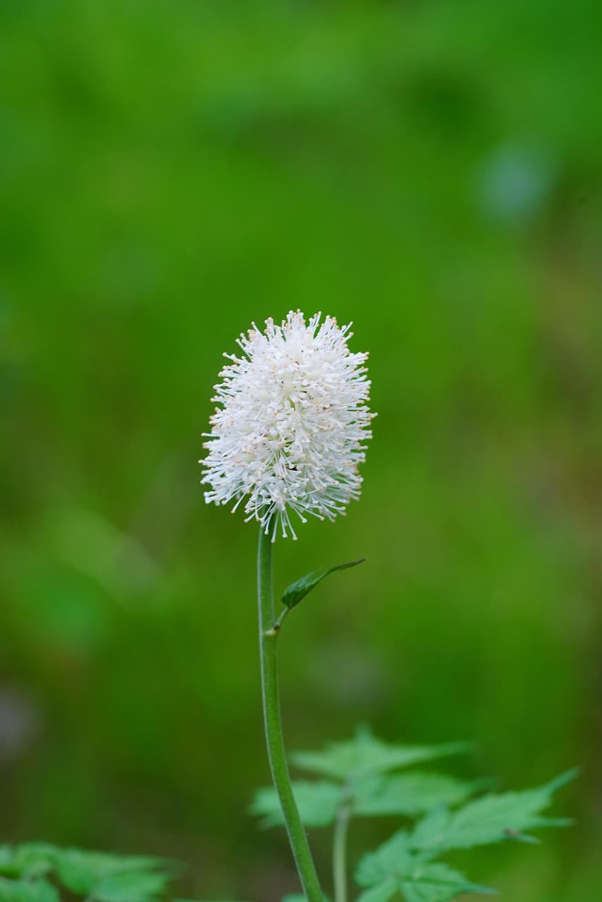 스마트팜 조명 색상이 뇌파와 감정에 미치는 영향 실험 분석