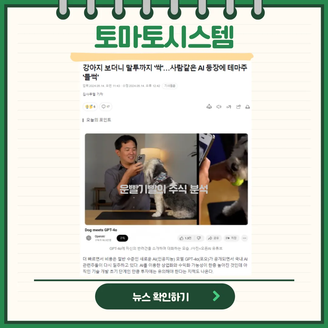 토마토시스템 뉴스