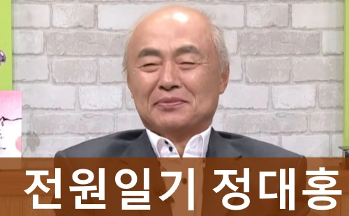 전원일기 정대홍 탤런트