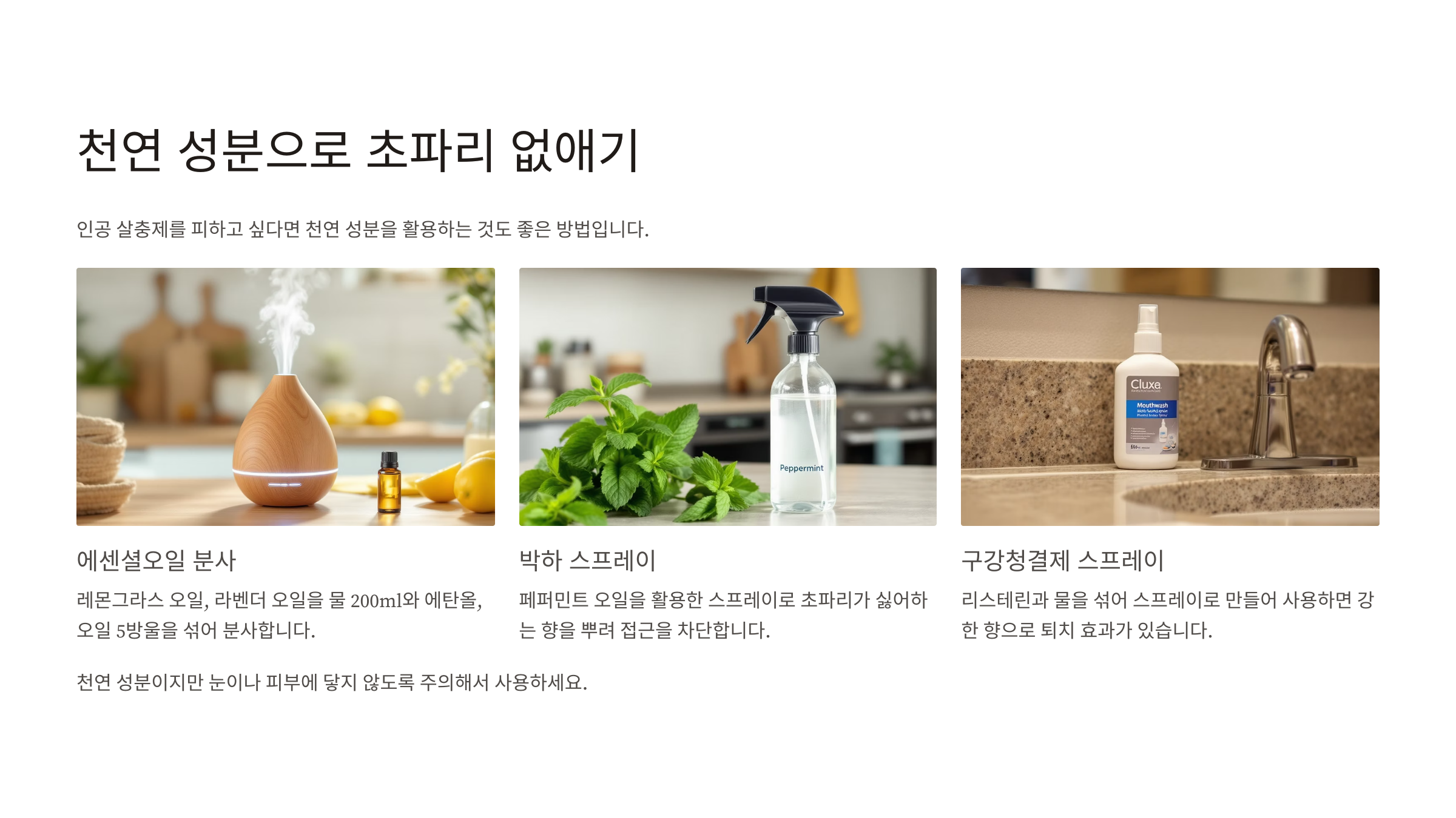 초파리 없애는 방법