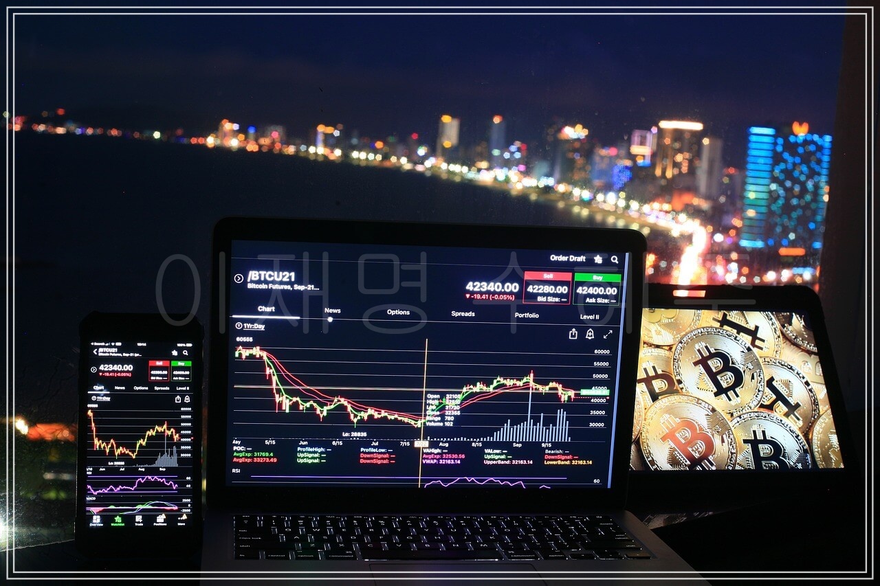 2025년 이재명 수혜주 TOP 5 - 최신 정보로 엄선!