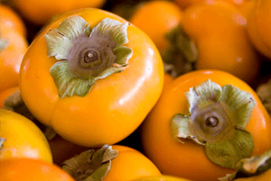 숙취해소효능24