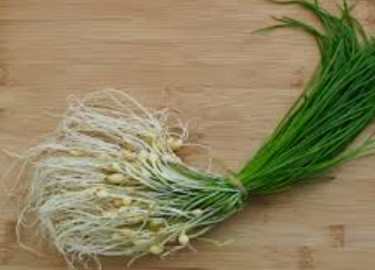 달래 이미지사진