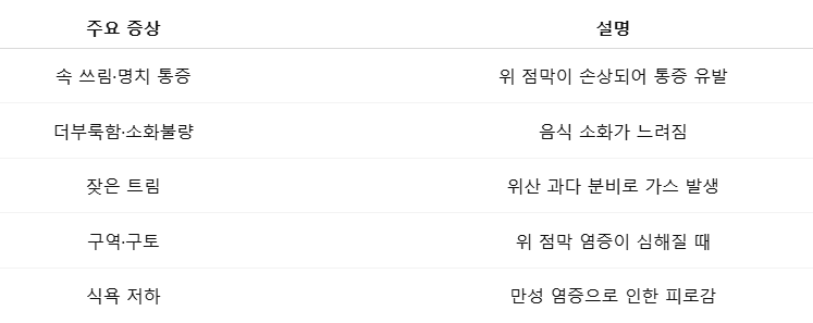 헬리코박터균은 우리 몸에서 어떻게 활동할까