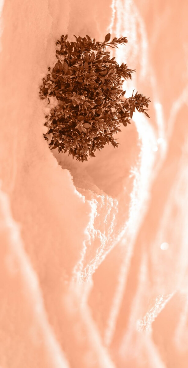 피부에-붙은-미세먼지