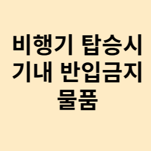 비행기 탑승시 기내 반입금지 물품