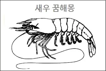 새우 꿈해몽