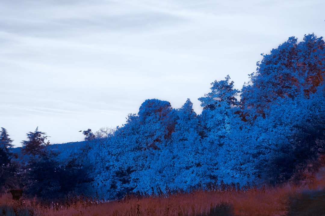 Breach