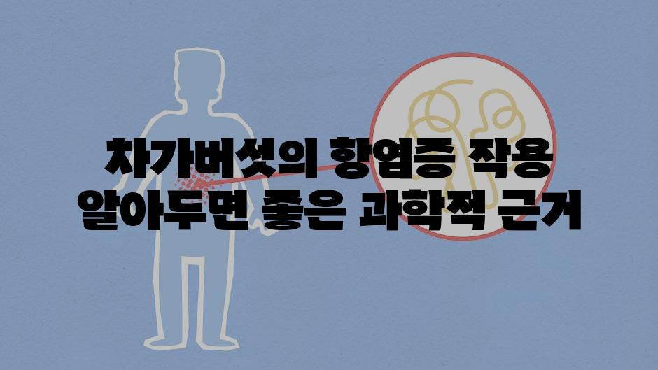 차가버섯의 항염증 작용 알아두면 좋은 과학적 근거