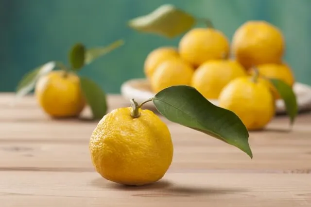 유자차 피부 건강 효능