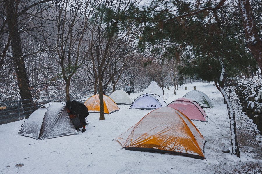 6시 내고향 무주 카페 캠핑 체험 무주눈꽃덕유캠프