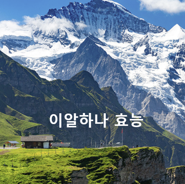 이알하나(ERr731) 효능 다르다