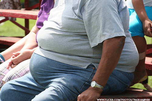 살 많이 찌는 음식 살찌는 음식 best