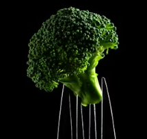 위궤양에 좋은 음식 영양제 식단