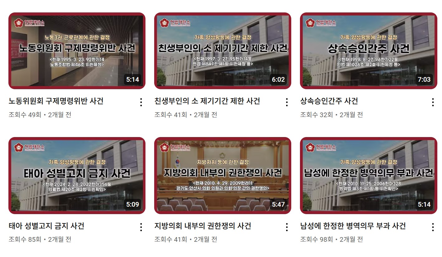 헌법재판소의 역할