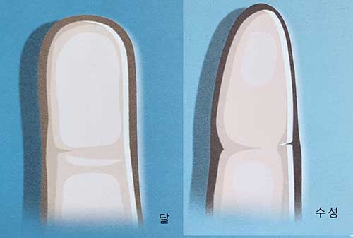 달, 수성 손끝 모양