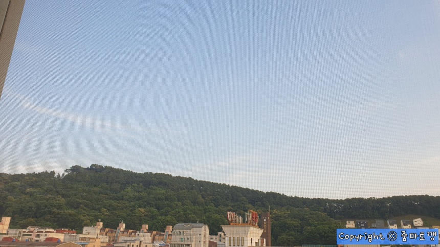 깨끗해진-방충망